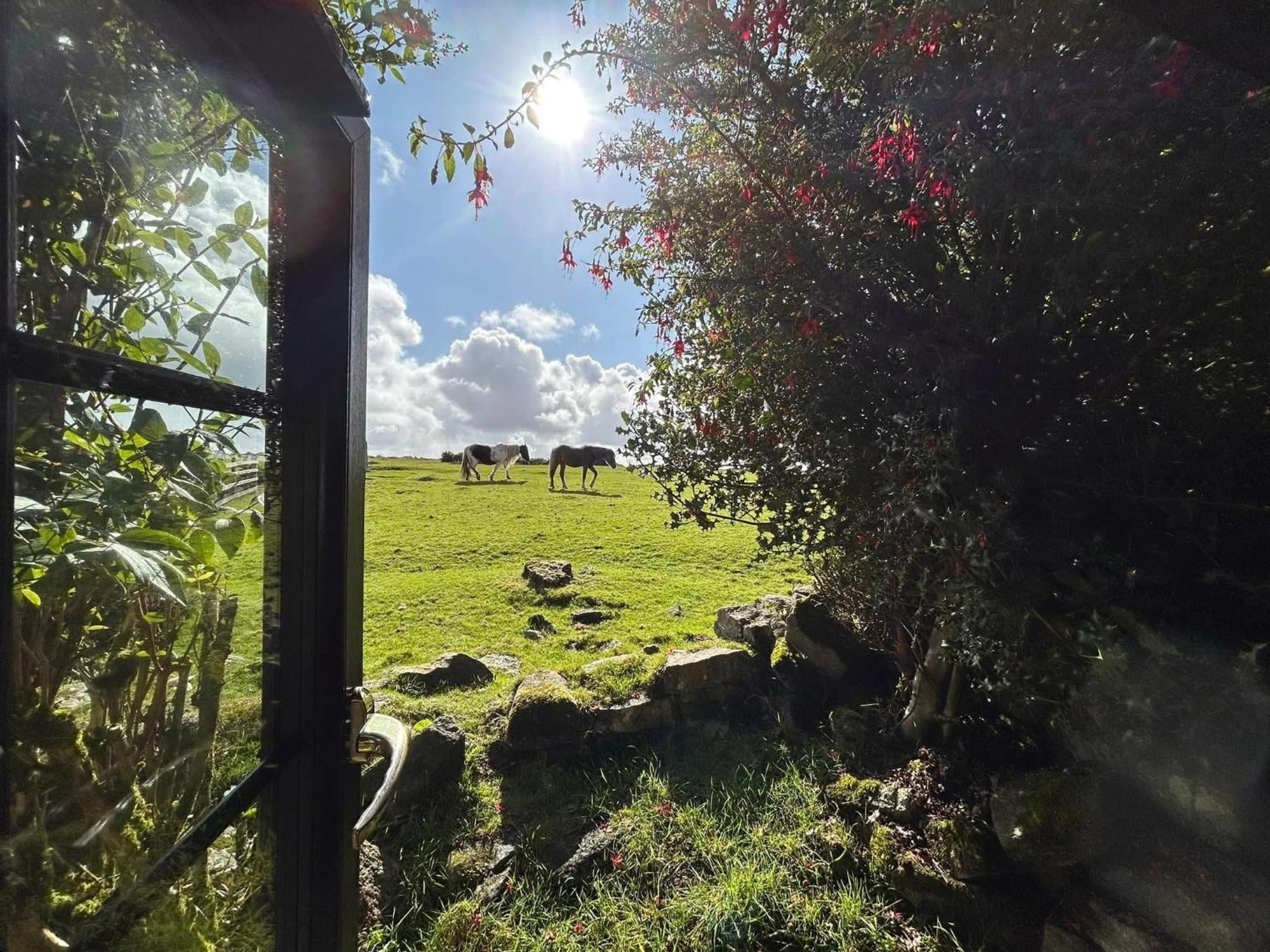 Hallagenna Cottages Bodmin Extérieur photo